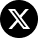 x logo